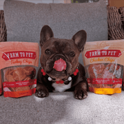Turkey & Chicken Chip Dog Treat Duo | Single-Ingredient Poultry Treats for Dogs - Pristine Pet Supply
