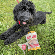 Deer Antler Dog Chews | Organic Chews for Dogs - Pristine Pet Supply