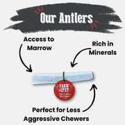 Elk Antler Dog Chews | All-Natural Whole and Split Elk Antler Chews for Dogs - Pristine Pet Supply