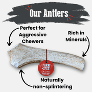 Elk Antler Dog Chews | All-Natural Whole and Split Elk Antler Chews for Dogs - Pristine Pet Supply
