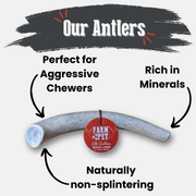 Elk Antler Dog Chews | All-Natural Whole and Split Elk Antler Chews for Dogs - Pristine Pet Supply