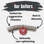 Elk Antler Dog Chews | All-Natural Whole and Split Elk Antler Chews for Dogs - Pristine Pet Supply