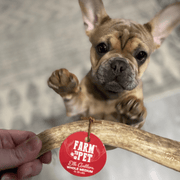 Elk Antler Dog Chews | All-Natural Whole and Split Elk Antler Chews for Dogs - Pristine Pet Supply