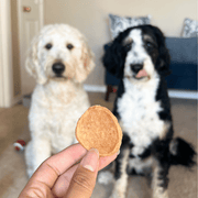Chicken Chips for Dogs | All-Natural Single-Ingredient Dog Treats - Pristine Pet Supply