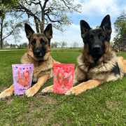 Puppy Love Dog Treat Duo | Poultry Chip Variety Pack - Pristine Pet Supply