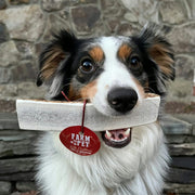 Elk Antler Dog Chews | All-Natural Whole and Split Elk Antler Chews for Dogs - Pristine Pet Supply