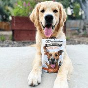 Live Like Roo Turkey Chips for Dogs | Dog Treats That Give Back - Pristine Pet Supply
