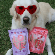 Puppy Love Dog Treat Duo | Poultry Chip Variety Pack - Pristine Pet Supply
