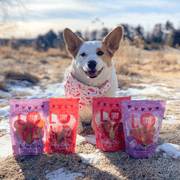 Puppy Love Dog Treat Duo | Poultry Chip Variety Pack - Pristine Pet Supply