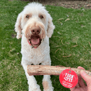 Elk Antler Dog Chews | All-Natural Whole and Split Elk Antler Chews for Dogs - Pristine Pet Supply