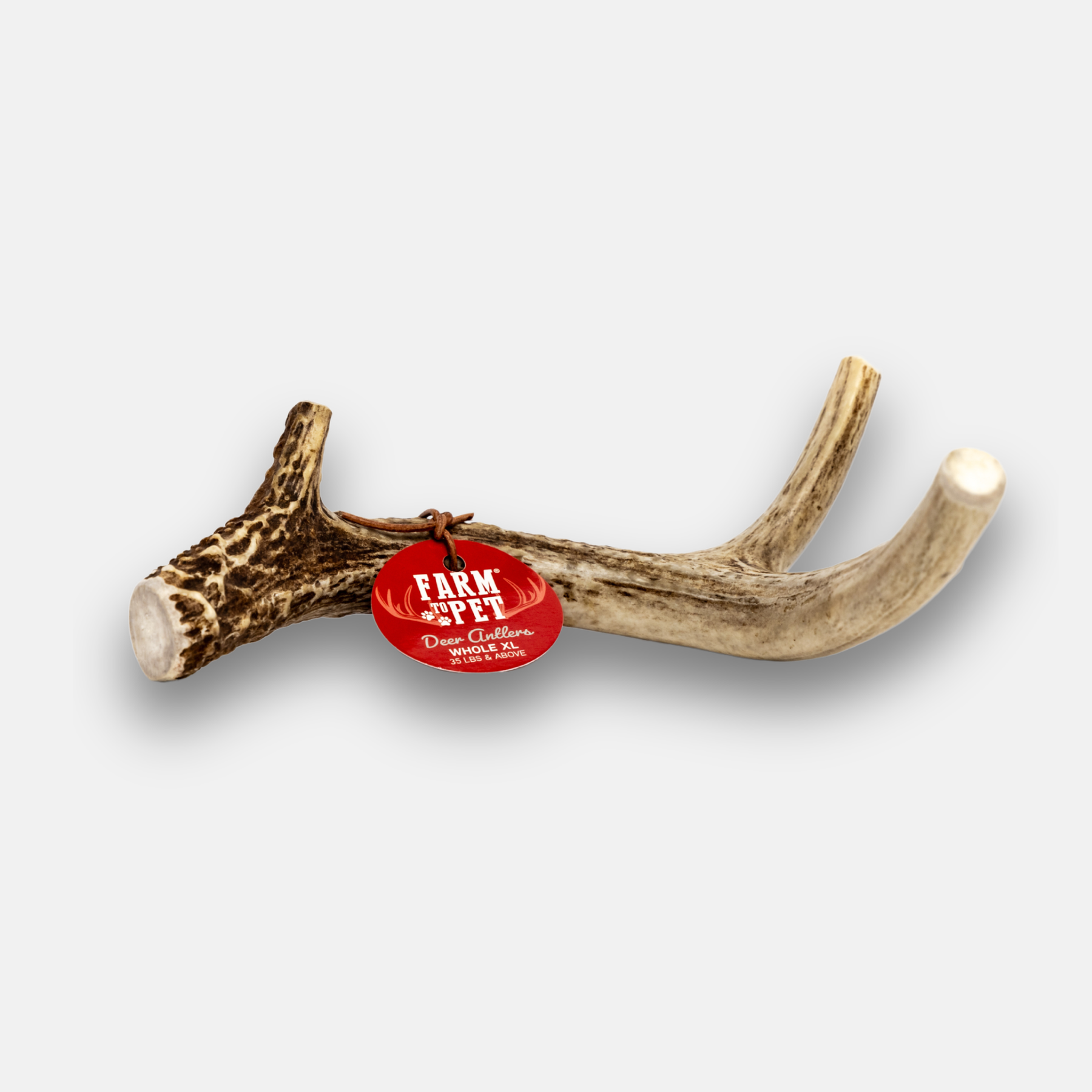Deer Antler Dog Chews | Organic Chews for Dogs - Pristine Pet Supply