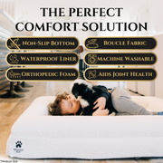 Luxury Orthopedic Dog Bed