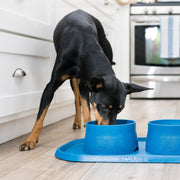 Non-Slip Placemat - Pristine Pet Supply