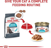 Feline Urinary Tract Care Wet Cat Food Thin Slices 3oz 12 Pack