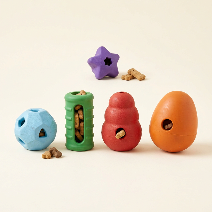 Interactive & Treat Toys