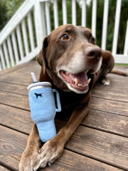 PUPROAR Pup Cup Plush Tumbler Squeaky Dog Toy – 5 Colors