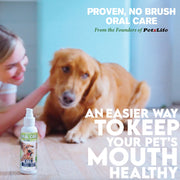 Oral Care Gel - Peppermint