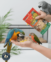 Higgins Sunburst Freeze-Dried Pineapple Mango 0.5 oz Bird Treat Natural Parrots