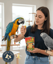 Higgins Sunburst Freeze-Dried Pineapple Mango 0.5 oz Bird Treat Natural Parrots