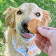Chicken Chips for Dogs | All-Natural Single-Ingredient Dog Treats - Pristine Pet Supply