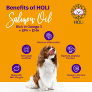 HOLI Icelandic Salmon Oil for Dogs | Extra Virgin - Pristine Pet Supply