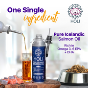 HOLI Icelandic Salmon Oil for Dogs | Extra Virgin - Pristine Pet Supply