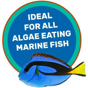 Hikari Saki-Hikari Marine Herbivore MD Sinking Fish Food 3.17 oz.