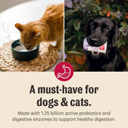 Honest Kitchen Goat Milk Powder Probiotics for Dogs & Cats 5.2oz