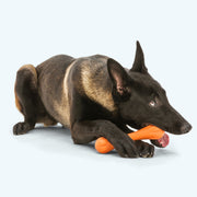 Hurley - Pristine Pet Supply