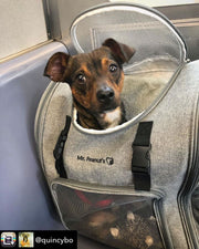 Mr. Peanut's Aspen Series Airline Compliant Backpack Pet Carrier