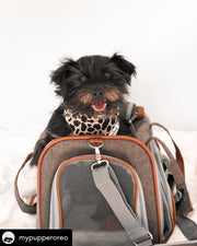 Mr. Peanut's Gold Series V2.0 Pet Carrier