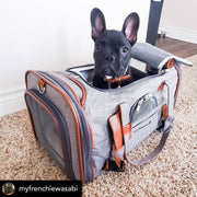 Mr. Peanut's Gold Series V2.0 Pet Carrier