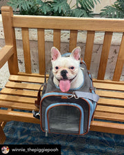 Mr. Peanut's Gold Series Big Apple XL Expandable Pet Carrier V3.0