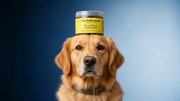 Winner, Winner, Chicken Dinner! — Superfood Pet Treats - Pristine Pet Supply
