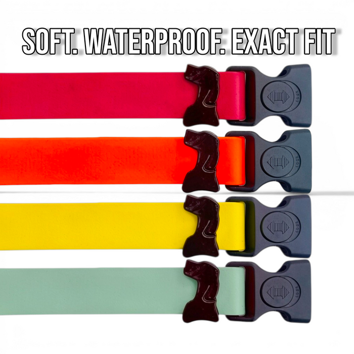 HÜND HAUS Sport Waterproof Dog Collar