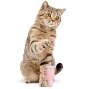 PUPROAR Kitty Cup Plush Catnip & Crinkle Cat Toy – 2 Colors
