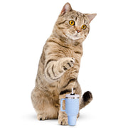 PUPROAR Kitty Cup Plush Catnip & Crinkle Cat Toy – 2 Colors