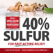 Jeffers Super-Sulfur Skin & Wound Healing Paste for Pets, Horses, & Livestock