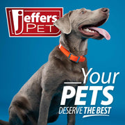 Jeffers Uracid DL-Methionine 0.2g Capsules for Dogs & Cats – Supports Urinary Tract, Reduces Urine Odor, Prevents Stones