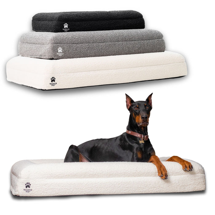 Wasatch Pup Luxury Orthopedic Dog Bed