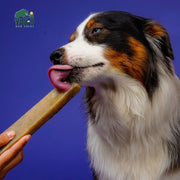 Yak9 Chews Blueberry Yak Chews for Dogs