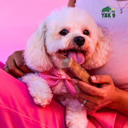 Yak9 Chews Strawberry Yak Cheese Chews for Dogs