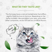 Secrets Of The Tribe Lion's Immune Support Herbal Blend for Cats
