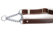 Euro-Dog Martingale Leather Dog Collar