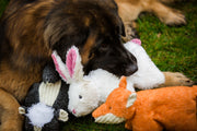 Squooshie™ Skunk Plush Dog Toy