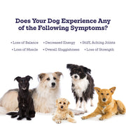 Moe's Healthy Pets Hip & Joint Soft Chews for Dogs