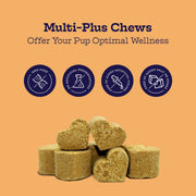 Moe's Healthy Pets Multi-Plus Multivitamin Soft Chews for Dogs