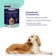 Moe's Healthy Pets Prebiotic + Probiotic Soft Chews for Dogs