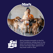 Moe's Healthy Pets Prebiotic + Probiotic Soft Chews for Dogs