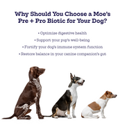 Moe's Healthy Pets Prebiotic + Probiotic Soft Chews for Dogs